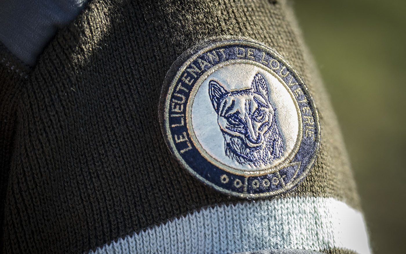 Loups, sangliers, chevreuils... qu'estce que la louveterie ? vie